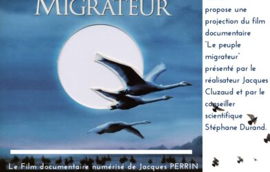 Projection de film documentaire « Le peuple migrateur »